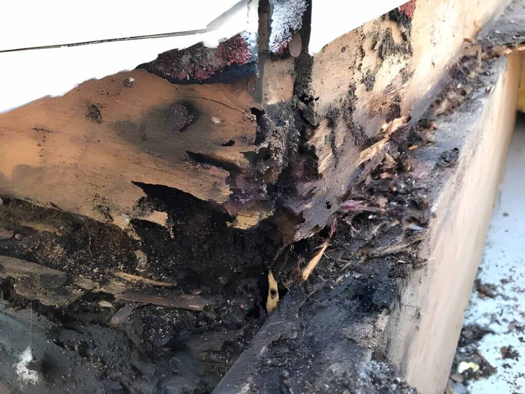Comparison of intact timber versus termite-damaged timber in a Port Macquarie home