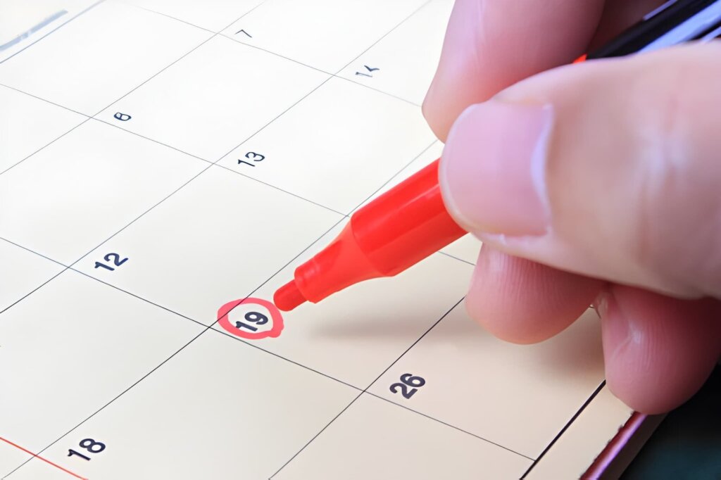 Scheduling an annual termite inspection in Port Macquarie